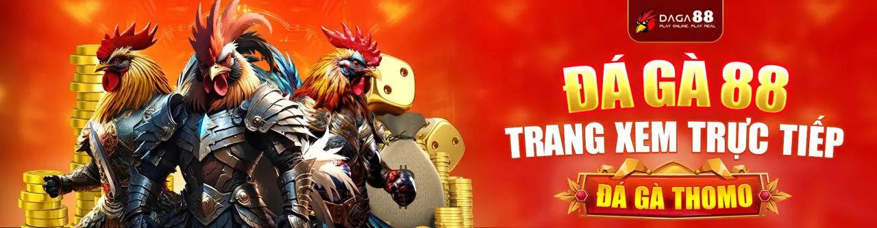 Xem đá gà trực tiếp 67 với trải nghiệm sống động và tỷ lệ cược minh bạch